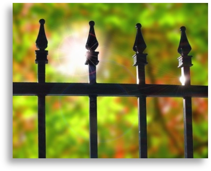 Ornamental fence with trees