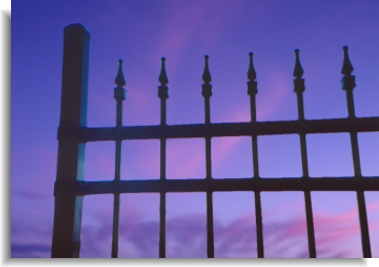 Genesis 3 Rail with Rings Photo