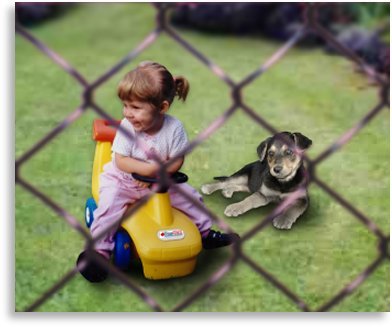 Girl and a dog