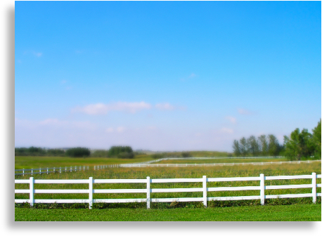 Vinyl ranch fence